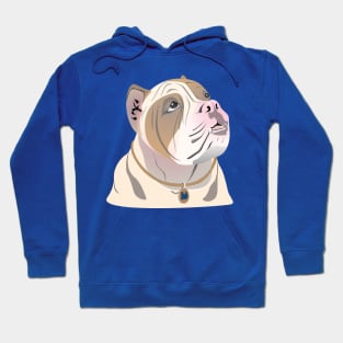 Bob bull Hoodie